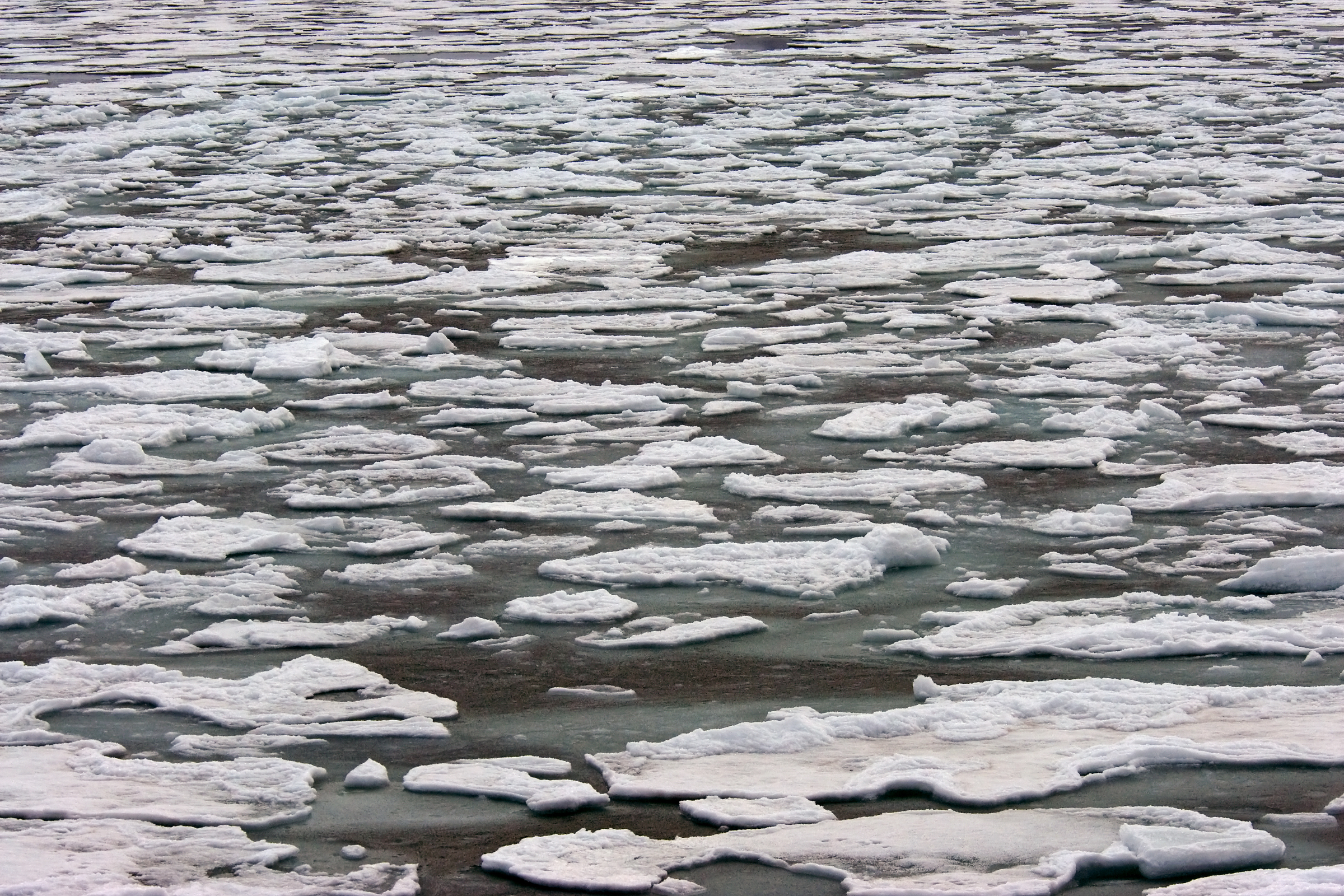 boltodden, spitsbergen (3).webp